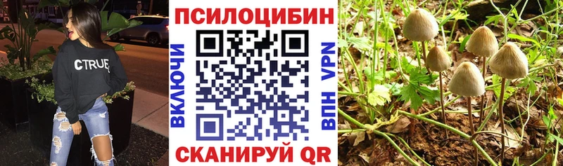 Псилоцибиновые грибы прущие грибы  Пучеж 